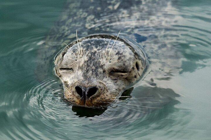 Vancouver City and Nature Waterfront Sightseeing Boat Tour