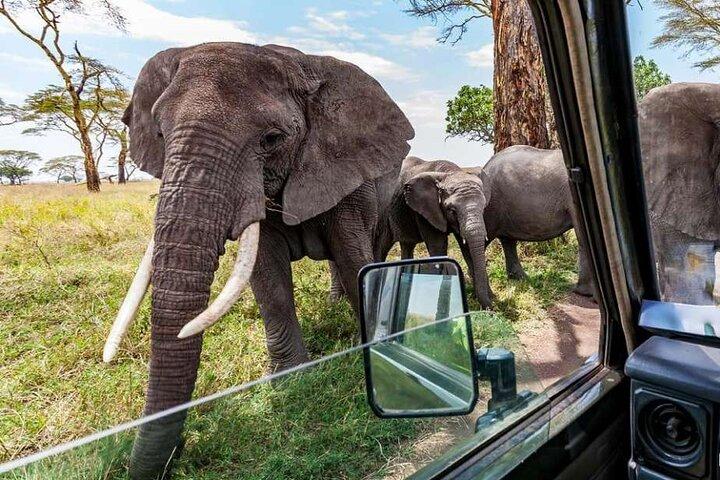 3-Days Masai Mara Lodge Safari