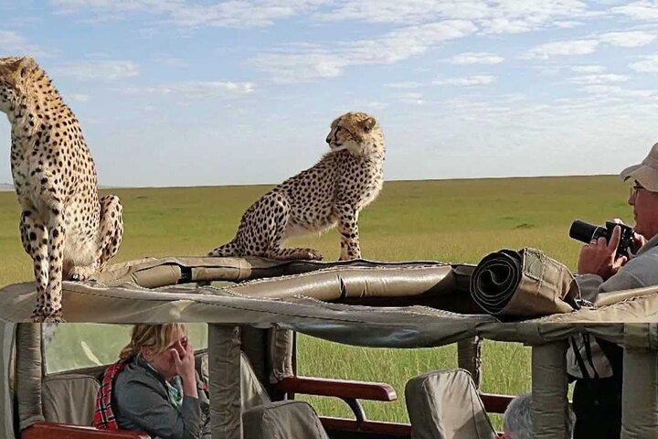 3-Days Masai Mara Lodge Safari