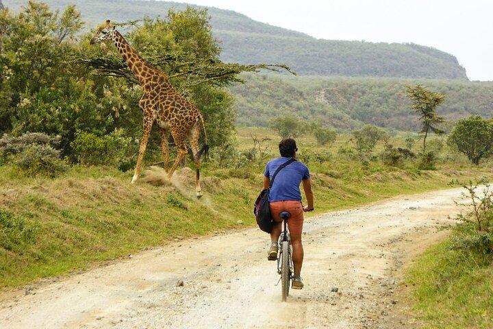 Hell's Gate and Lake Nakuru National Park Multi Day Experience