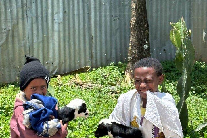 Addis Ababa Insider Tour: Explore with Certified Local Guides