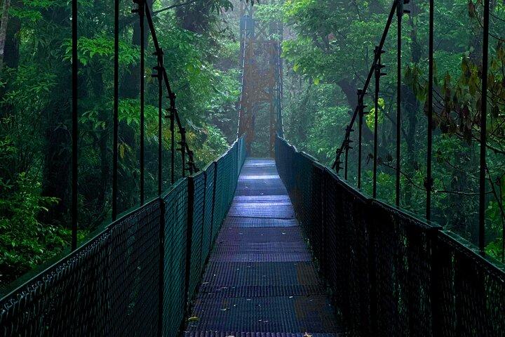 MONTEVERDE FROM ABOVE! Hanging Bridges PRIVATE GUIDE + BINOCULARS
