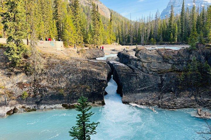 Lake Louise, Moraine Lake, Emerald & Peyto - 4 Lakes in Banff