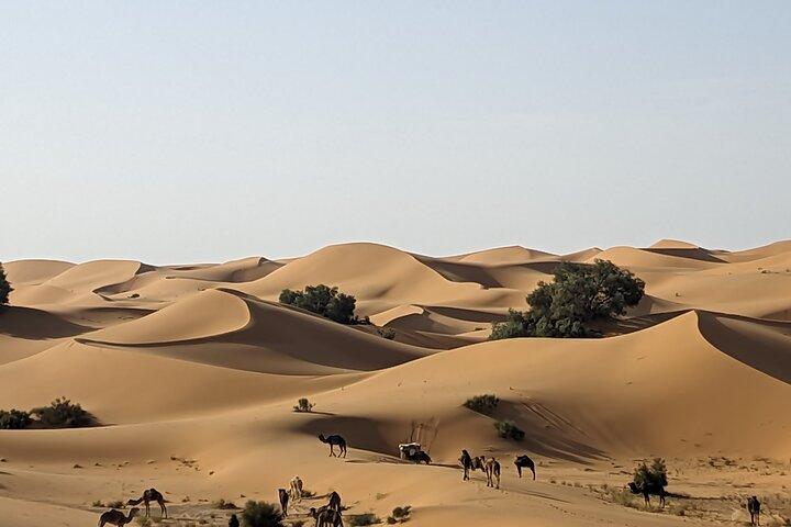 6 Days Desert Tour From Marrakech To Fes Via Merzouga Desert .