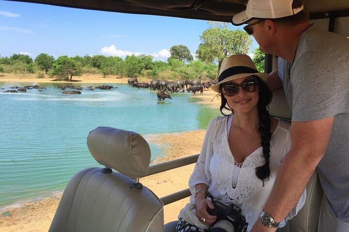 Udawalawe Safari & Transfer to Arugam Bay - Private Day Trip