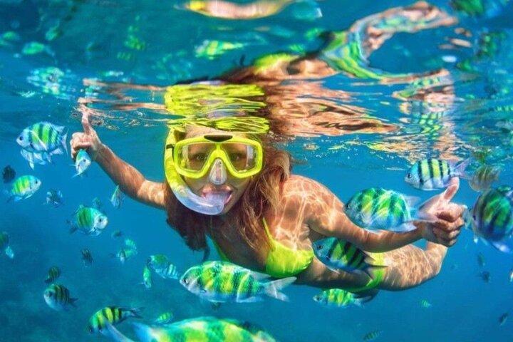 Bali Blue Lagoon Snorkeling - Lunch and Transport All Inclusive