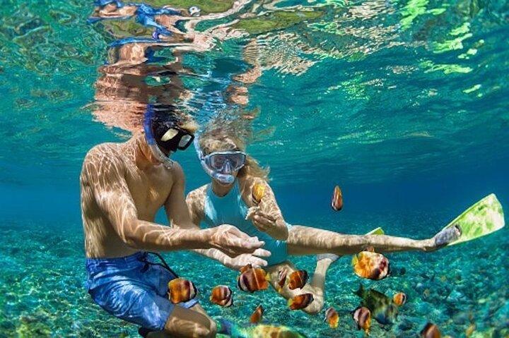 Bali Blue Lagoon Snorkeling - Lunch and Transport All Inclusive