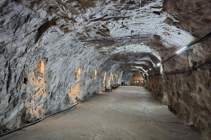 Small-group (max 7 pax) Salt Mine, Lunch at Winery, Dracula Grave