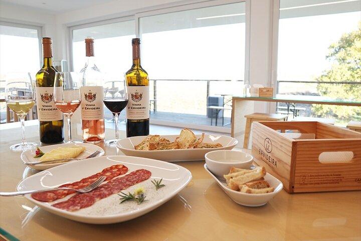 Évora, Private Tour with Wine Tasting and Lots of History