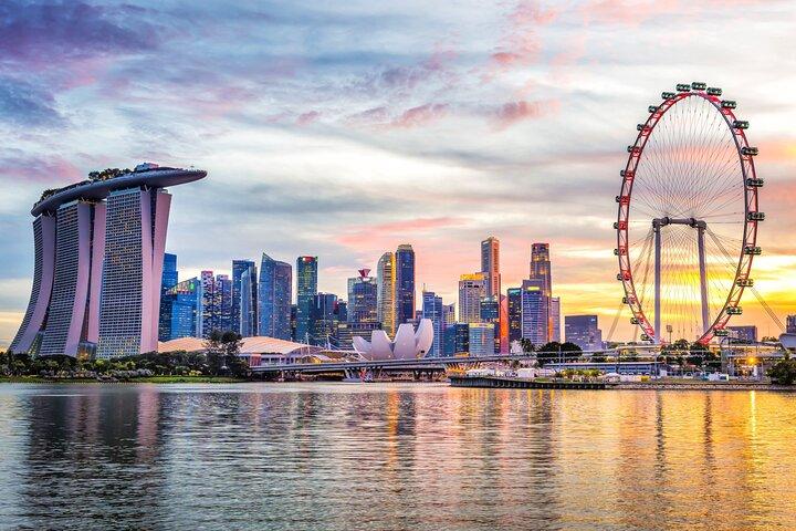 Private Singapore Car Tour Hotel Pickup Flexible Itinerary