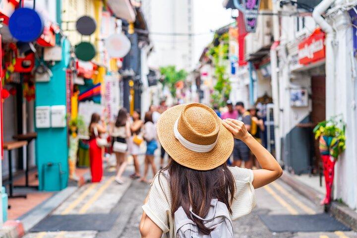 Private Singapore Car Tour Hotel Pickup Flexible Itinerary