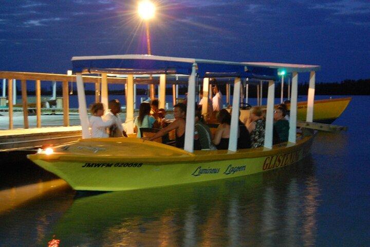 Jamaica's Luminous Lagoon Night Tour