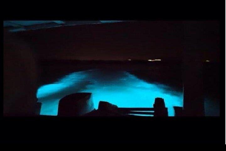 Jamaica's Luminous Lagoon Night Tour