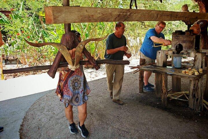 Palo Verde Boat Safari + Coffee & Culture – Wildlife & Flavor