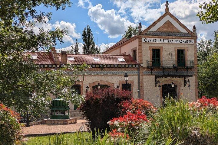 Madrid Olive Oil Experience: Mill Tour, Tasting & Country Lunch