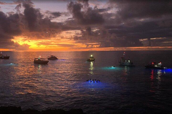 KONA Manta Ray Night Snorkel - FREE re-ride if no Sightings