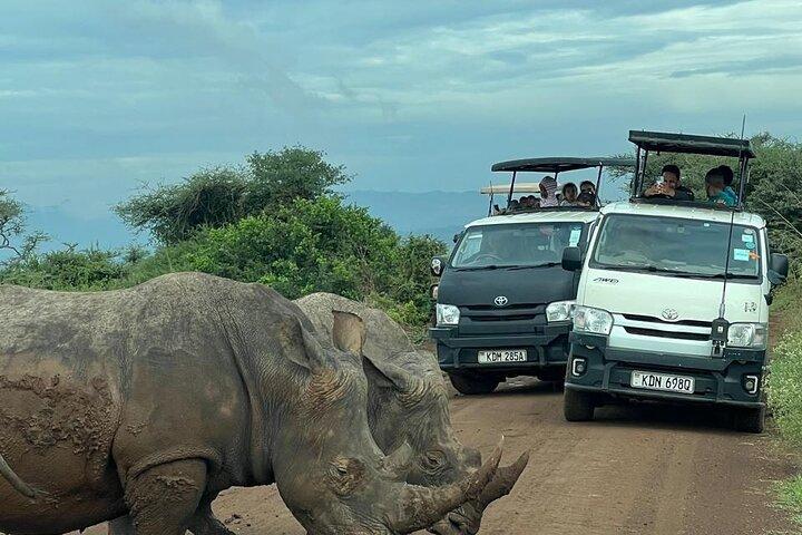 5 Hour Early Morning Nairobi National Park Safari 6:00 AM Start