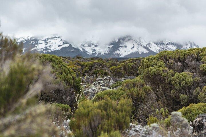 Kilimanjaro climb, Kilimanjaro Crater route (10-day)