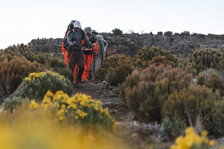 Kilimanjaro climb, Kilimanjaro Crater route (10-day)