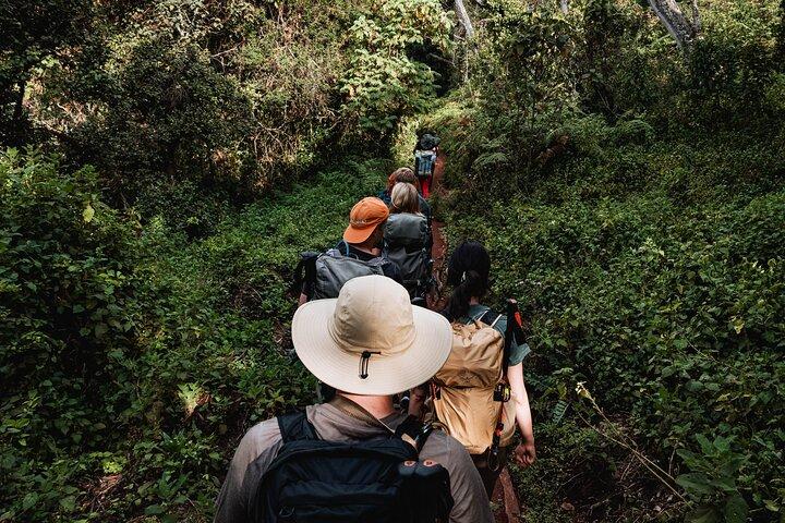 Kilimanjaro climb, Machame Route (7-day)
