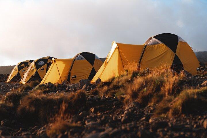 Kilimanjaro climb, Machame Route (7-day)