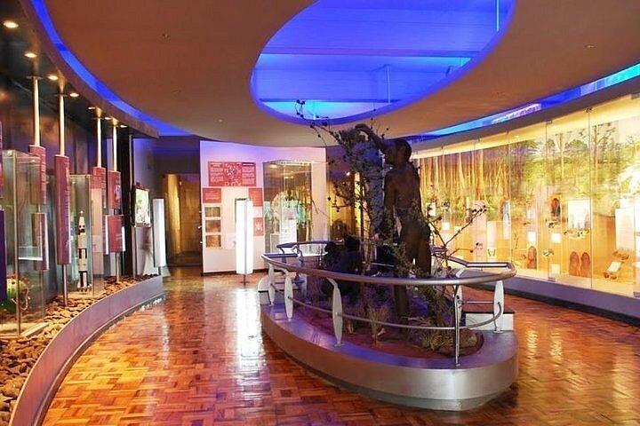 3 Hour Nairobi National Museum and Snake Park Tour