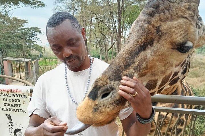 Bomas of Kenya Shared Tour with Transportation