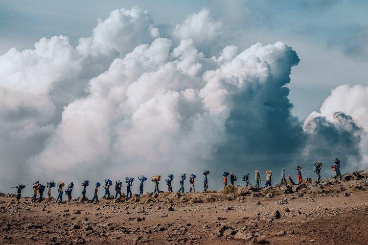 Kilimanjaro climb, Northern Circuit route (8-day)