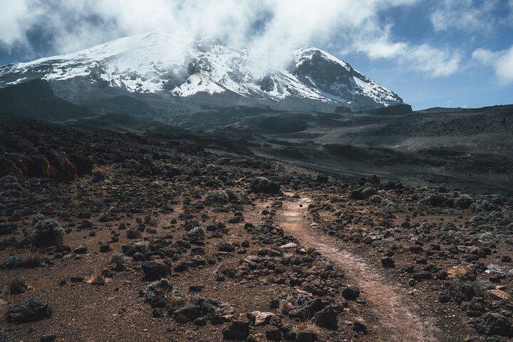 Kilimanjaro climb, Northern Circuit route (8-day)