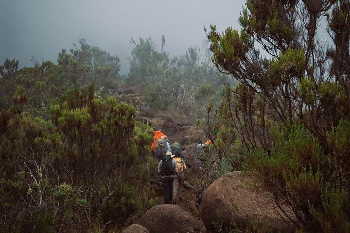 Kilimanjaro climb, Marangu route (6-day)