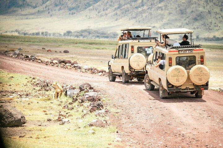 Ngorongoro Day Trip