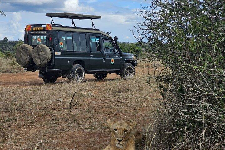 Overnight Safari in Lake Nakuru Park and Lake Naivasha.