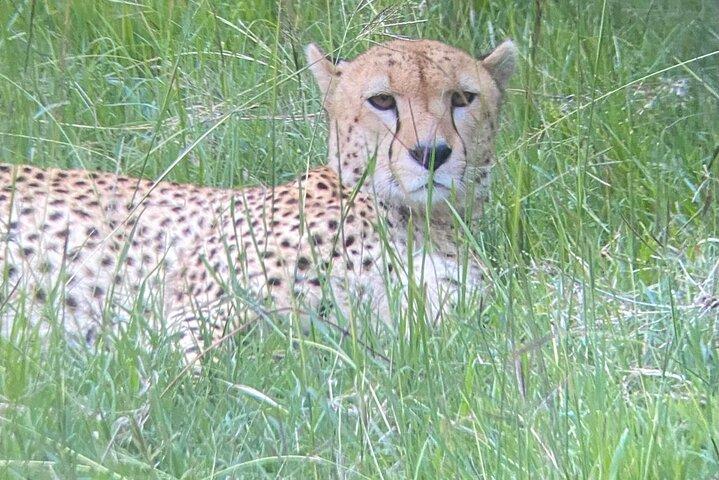 Overnight Safari in Lake Nakuru Park and Lake Naivasha.