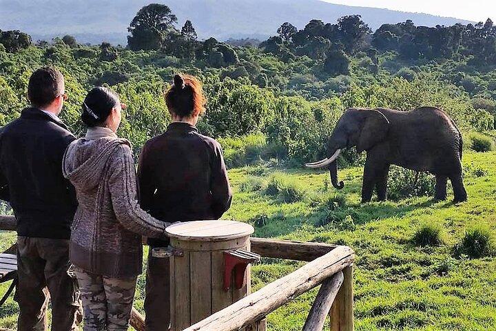2 Day Aberdares National Park Private Safari