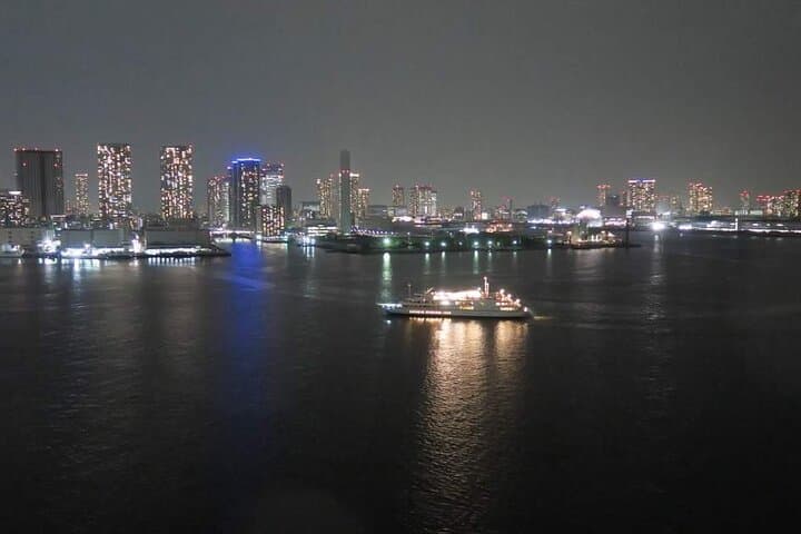 Tokyo Bay Cruise Adventure with options