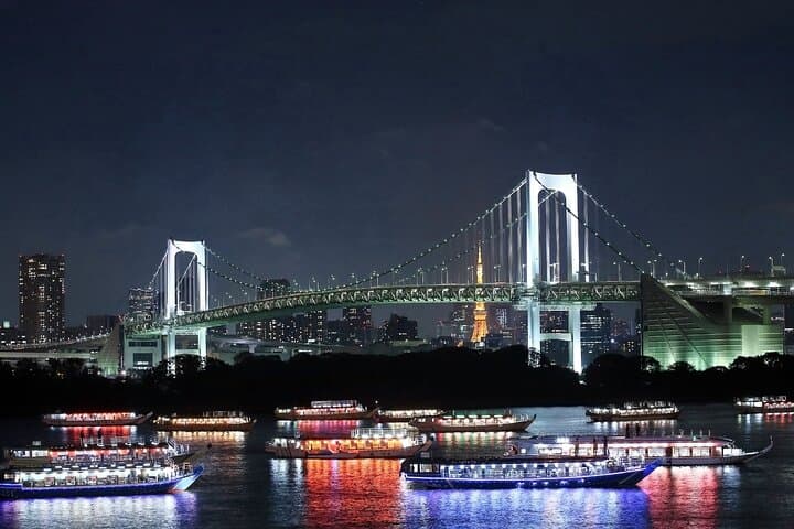 Tokyo Bay Cruise Adventure with options