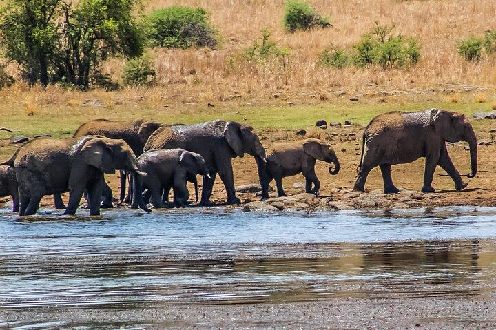 4 Day Amboseli National Park Safari from Nairobi