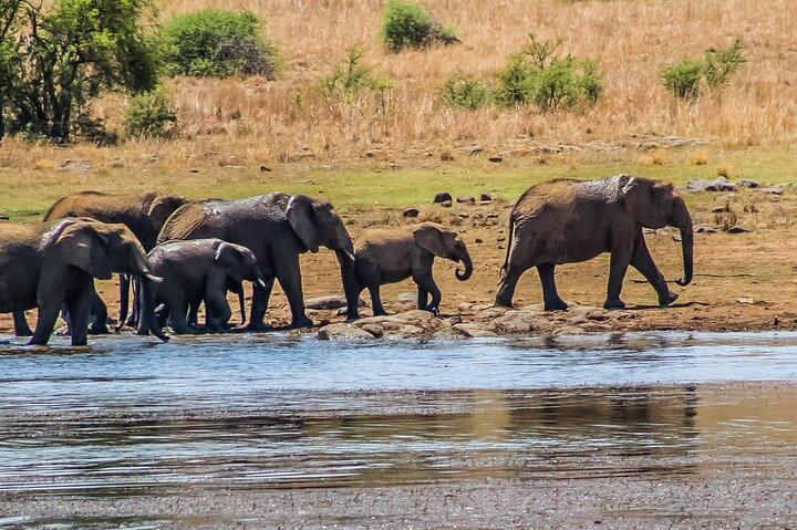 4 Day Amboseli National Park Safari from Nairobi