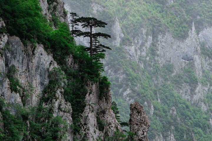 Durmitor Glacier Lakes and Canyons of Northern Montenegro Tour