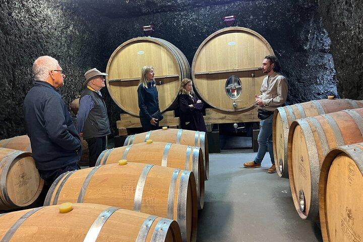 Loire Valley Wine & Castle Tour from Paris With Tasting & Pickup