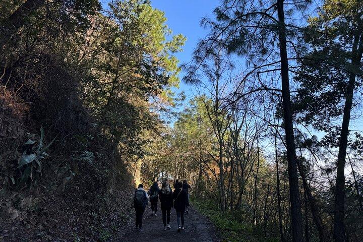 Chipinque Natural Park - Morning / Afternoon Hike (Group/Private)
