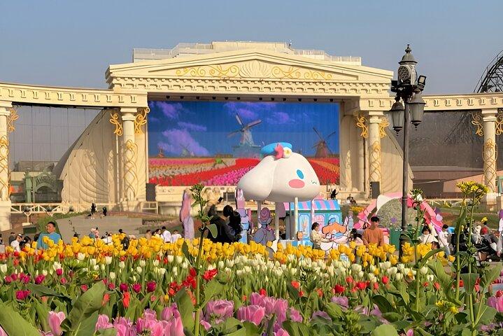 South Korea Everland Theme Park Ticket