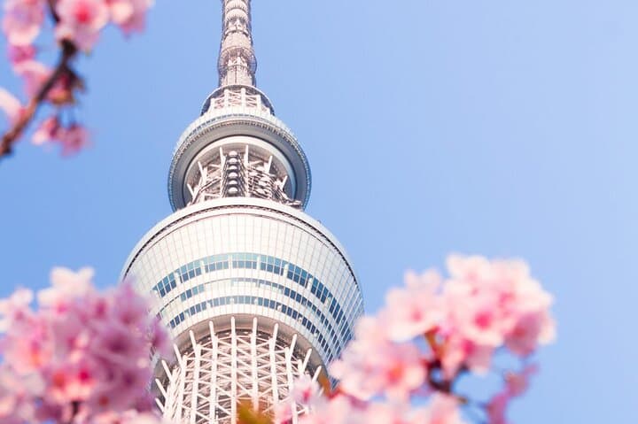 Vip | Tokyo Signature City Tour | Private Luxury Experience