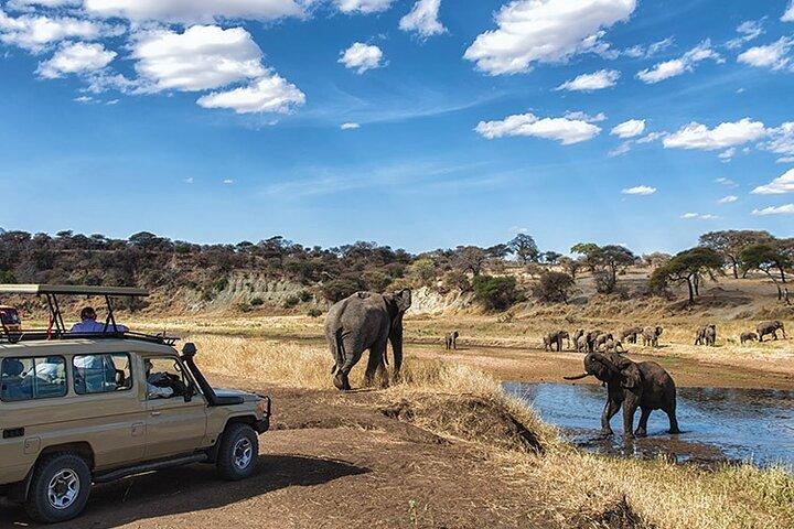 Lake Manyara National Park Day Trip with Lunch