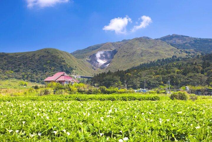 Yangmingshan, Beitou, Qingtiangang Tour