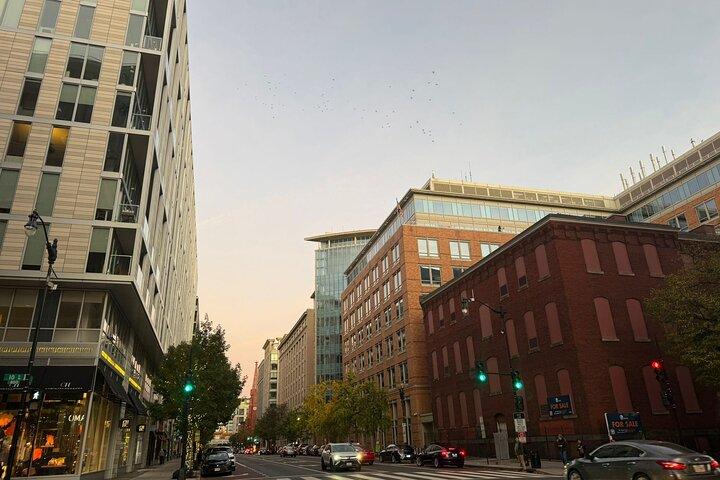 Discover Washington DC from New York City