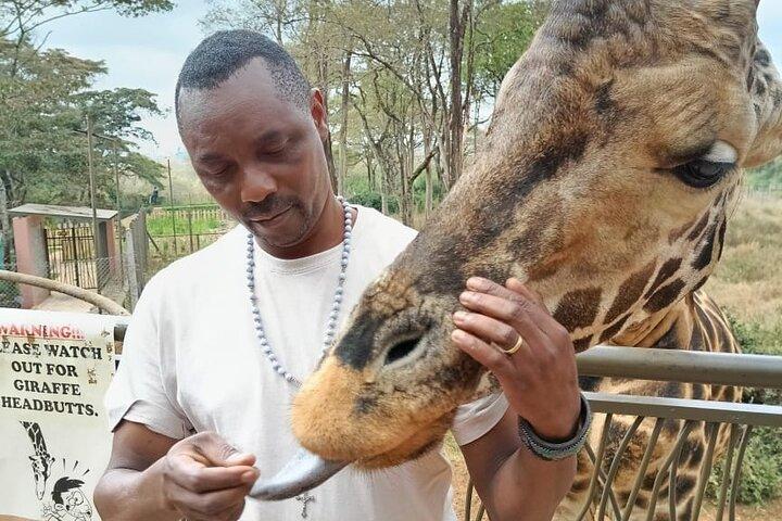 Nairobi National Park and Giraffe Centre Half day Tour