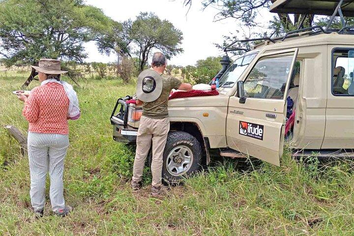 8 Days Serengeti Migration safari