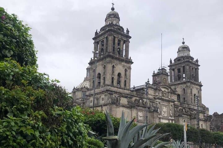 EXCLUSIVE TOUR Metropolitan Cathedral - Small Groups
