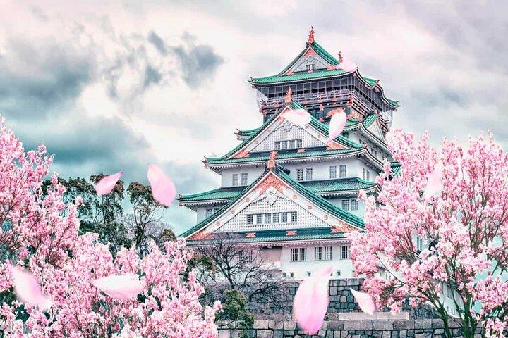 Osaka and Nara Day Tour with Private Transportation